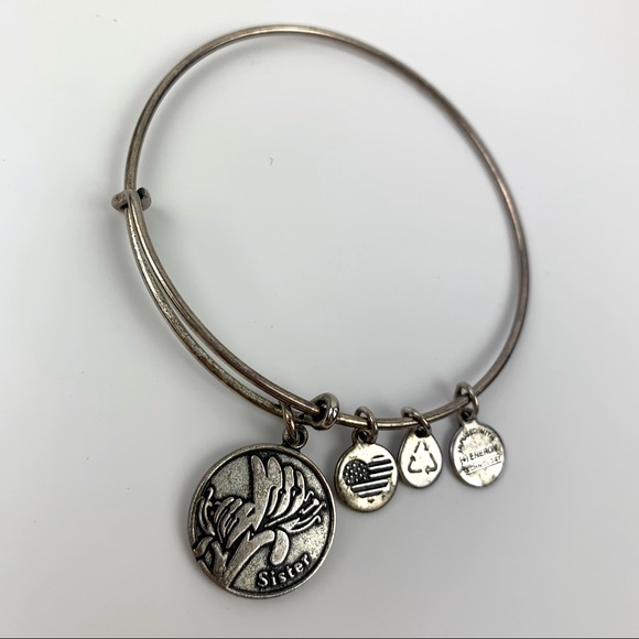 Alex and Ani Silver Bangle Sister Charm bracelet - Picture 2 of 14